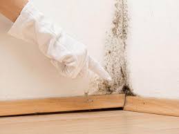 Glenwood, GA Mold Removal Company